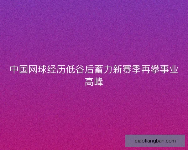中国网球经历低谷后蓄力新赛季再攀事业高峰