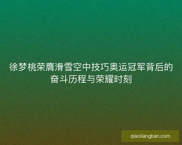 徐梦桃荣膺滑雪空中技巧奥运冠军背后的奋斗历程与荣耀时刻