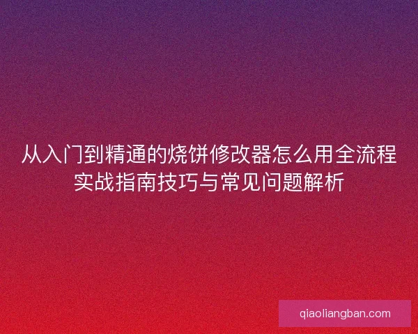 从入门到精通的烧饼修改器怎么用全流程实战指南技巧与常见问题解析